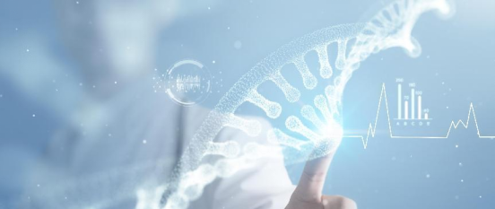 wms仓储管理系统